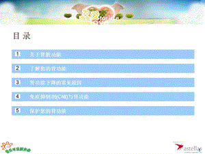 患教课件肾功能与您的移植器官.ppt