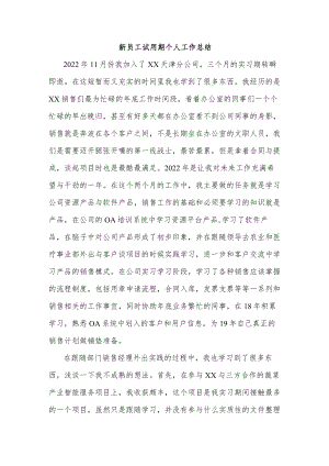 超市促销员新员工试用期个人工作总结.docx