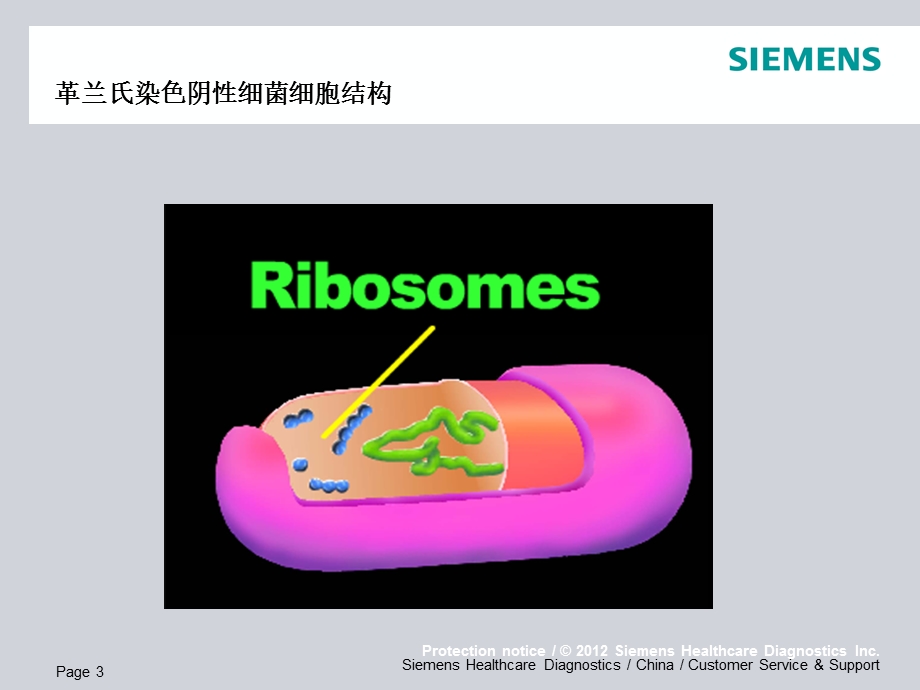 微生物药敏实验及合理使用抗生素PPT文档.ppt_第3页