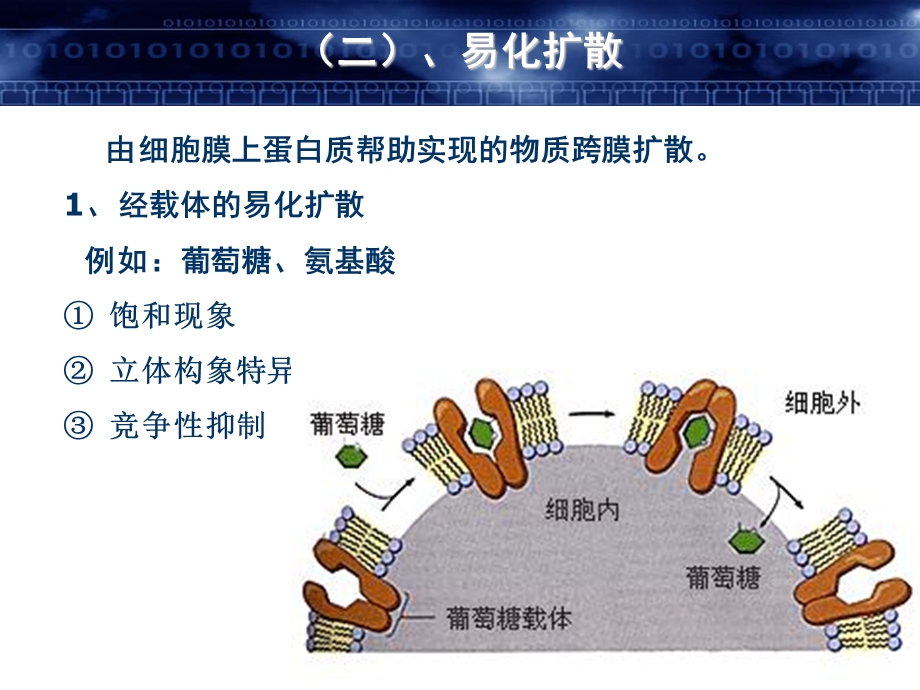 第三章 细胞的基本功能文档资料.ppt_第2页