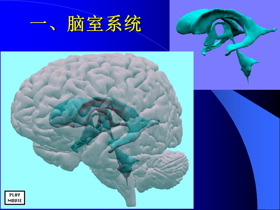 最新：脑池的断面解剖图文档资料.ppt_第1页