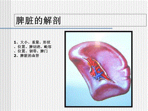 最新脾脏及脾脏疾病影像学表现2PPT文档.ppt