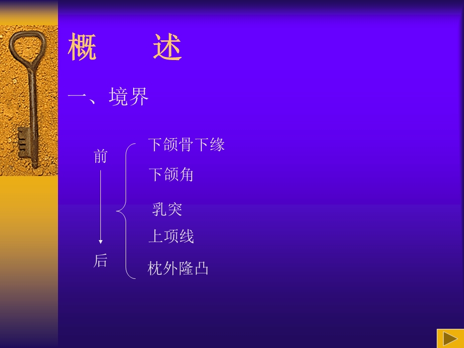 最新局部解剖学—头颈部(熊)PPT文档.ppt_第2页