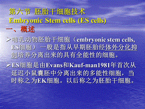 最新：第六节动物胚胎干细胞的分离培养技术EmbryonicStemcells文档资料.ppt