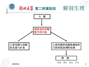 神经源性直肠功能障碍精选文档.ppt