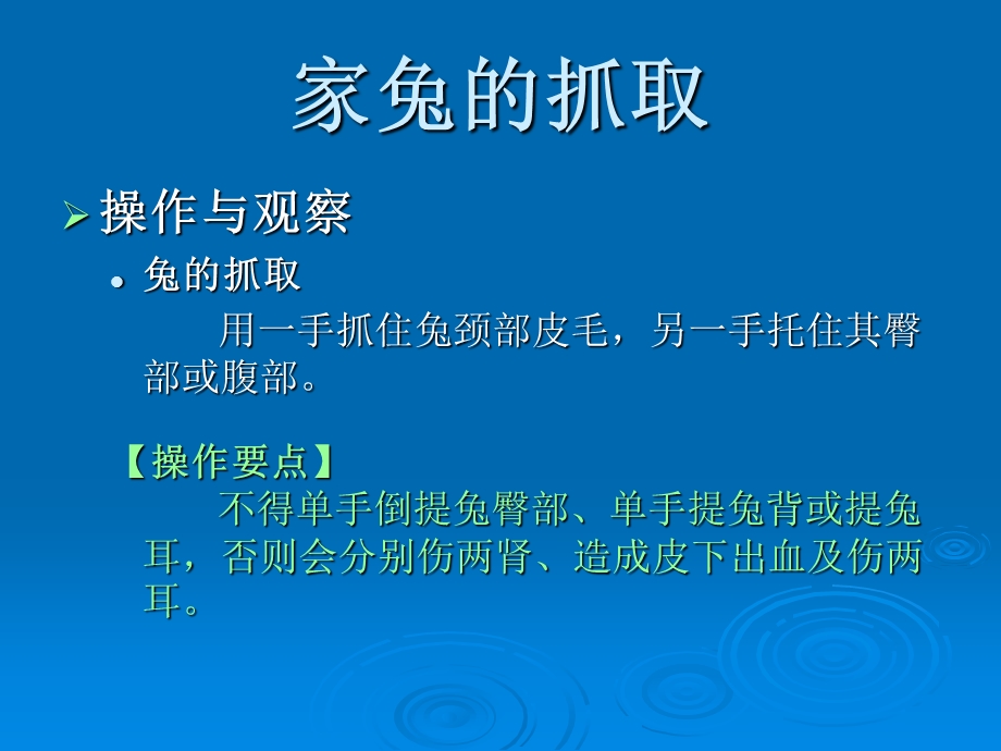 家兔的观察与解剖PPT文档.ppt_第3页