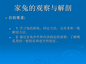 家兔的观察与解剖PPT文档.ppt