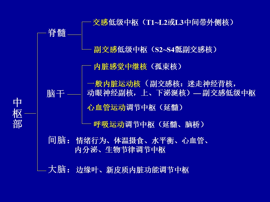 内脏神经系统PPT文档资料.ppt_第2页