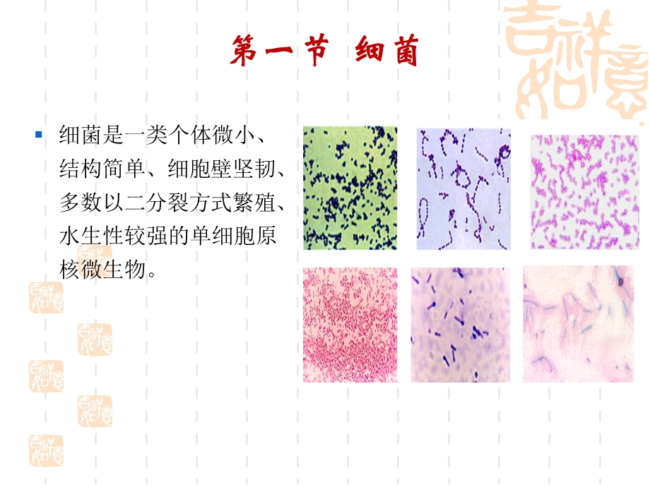 第一章原核微生物名师编辑PPT课件.ppt_第2页