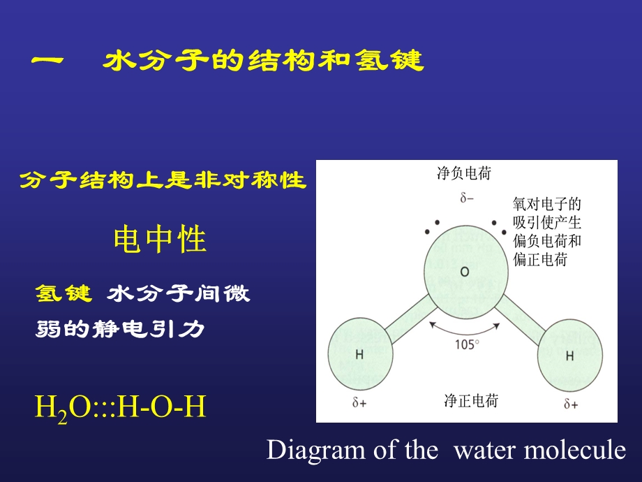 最新：12第二章水分与植物细胞文档资料精选文档.ppt_第3页