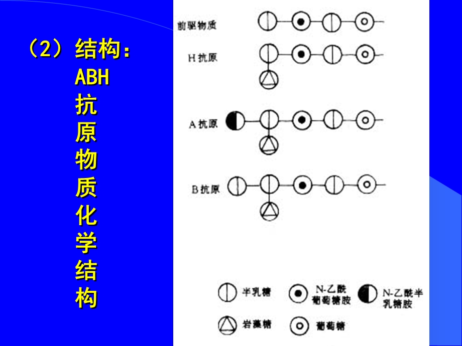 最新：血型和输血原则文档资料.ppt_第2页