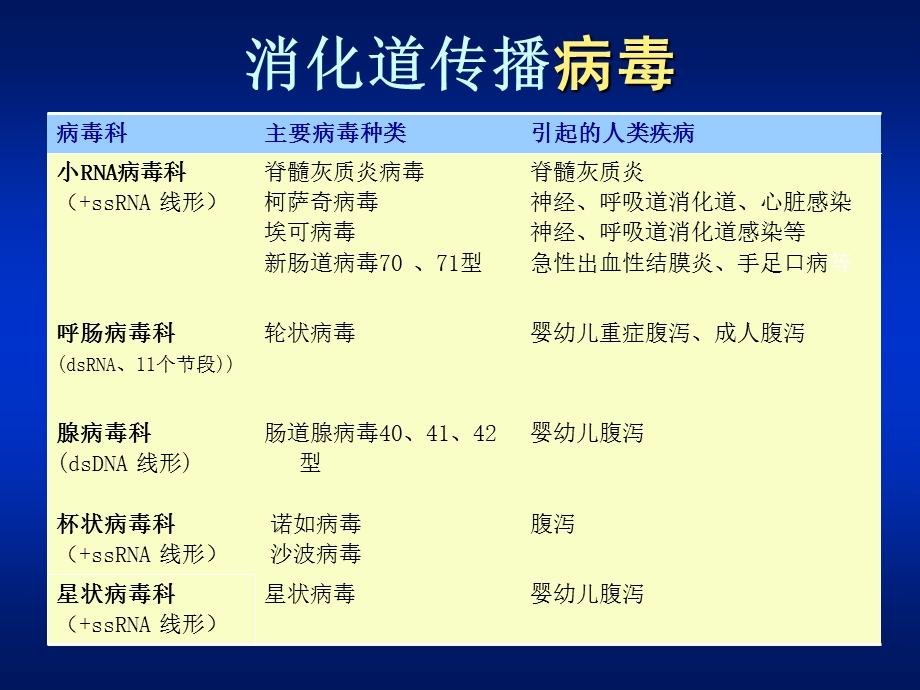 本科第26章肠道病毒精选文档.ppt_第3页