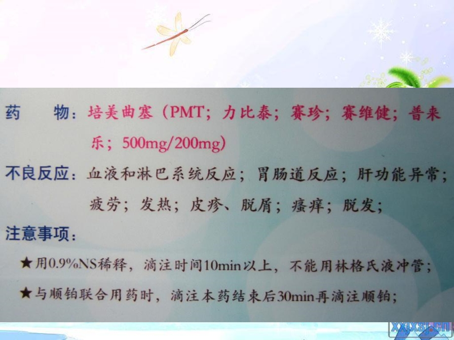 最新常用化疗药物及不良反应PPT文档.ppt_第2页