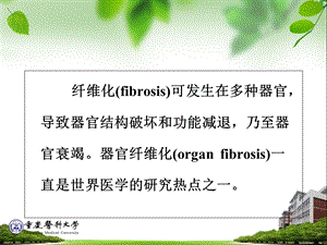 最新：器官纤维化分子病理课件文档资料.ppt