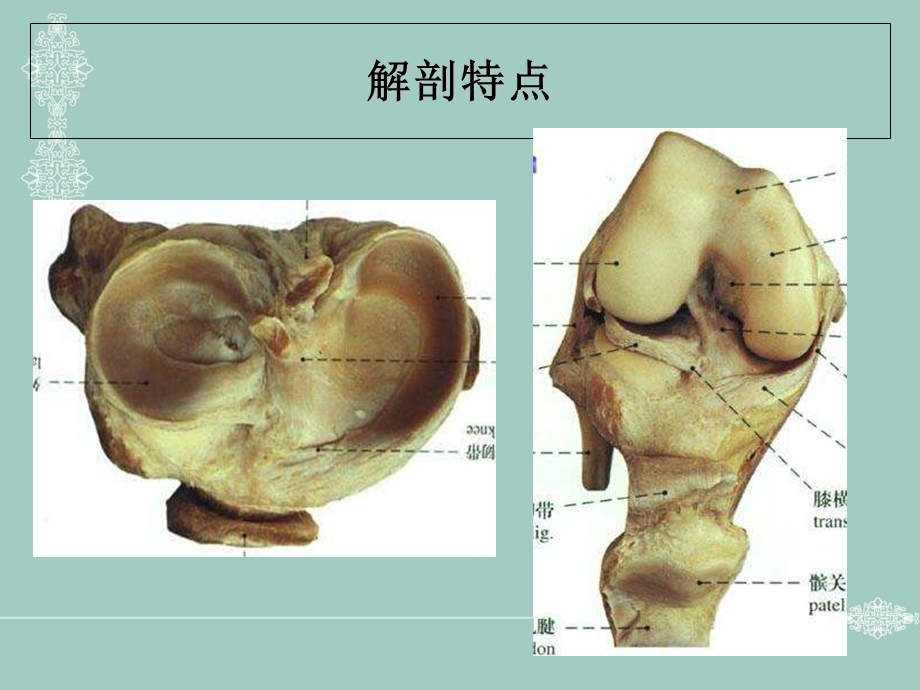 最新：膝关半月板损伤课件文档资料.ppt_第1页