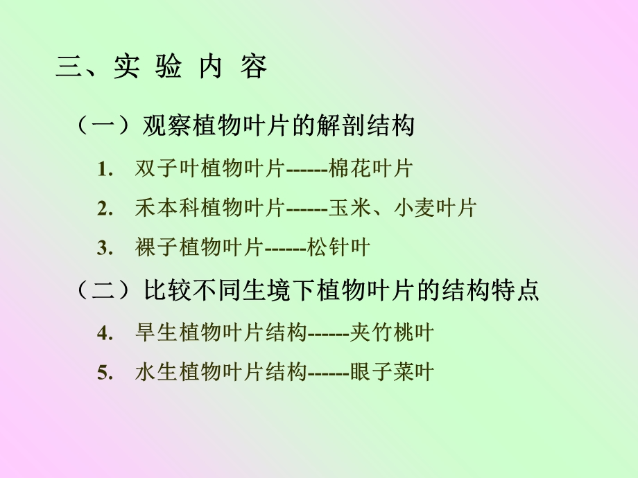 实验六叶的解剖结构文档资料.ppt_第2页