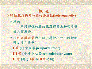 最新：第十七章肝的生物化学文档资料.ppt