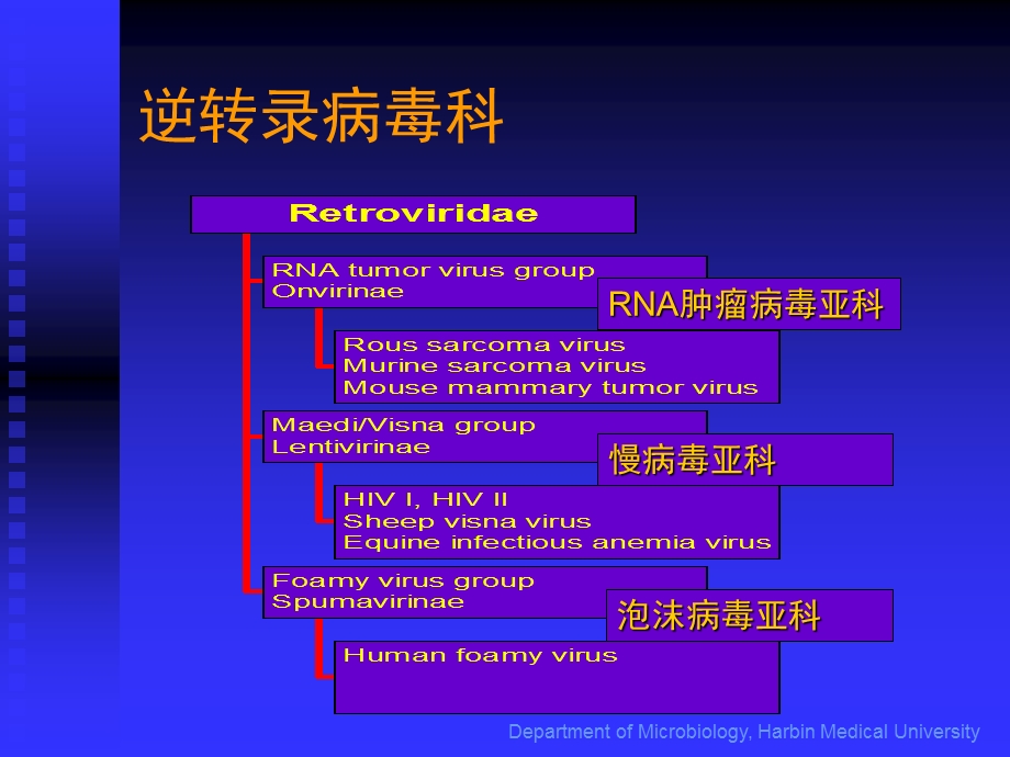 医学微生物学致病细菌逆转录病毒精选文档.ppt_第3页