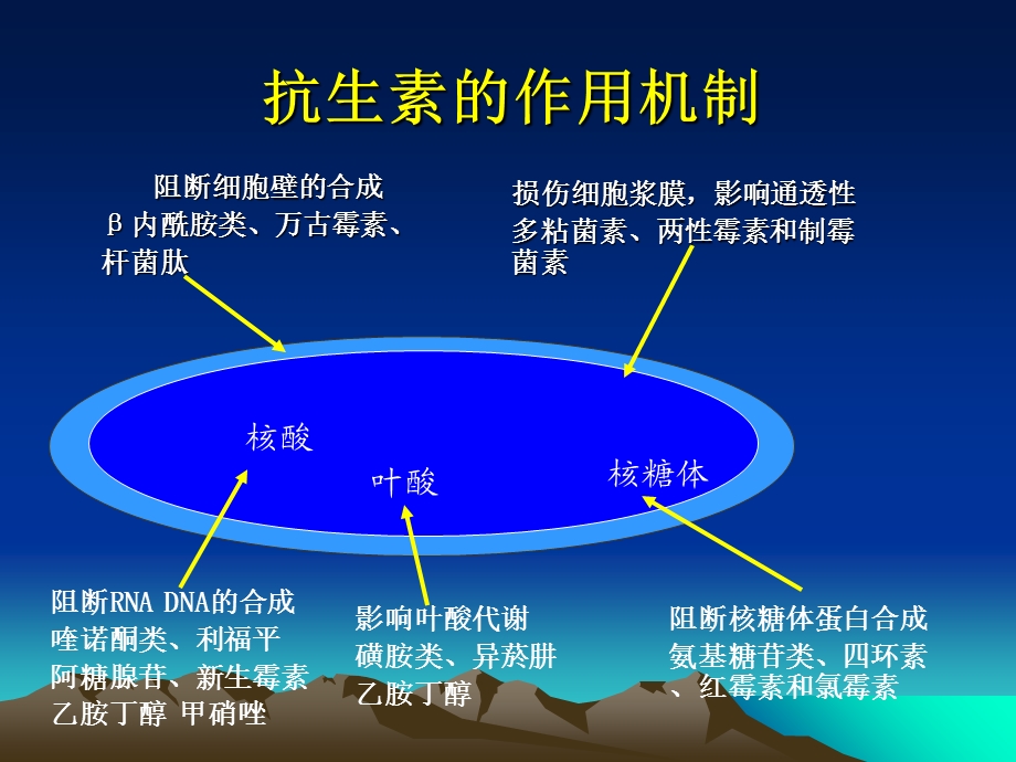 最新：抗生素的临床应用81文档资料.ppt_第3页