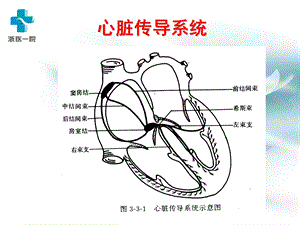 心律失常护理浙江大学内科护理学PPT文档.ppt