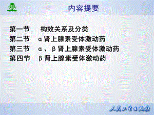 第10章肾上腺素受体激动药PPT文档.ppt