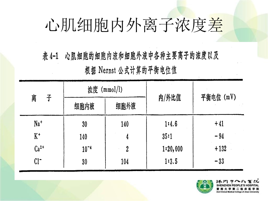 最新小儿心电图PPT文档.ppt_第2页