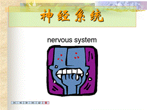 中枢神经系统nervoussystem精选文档.ppt