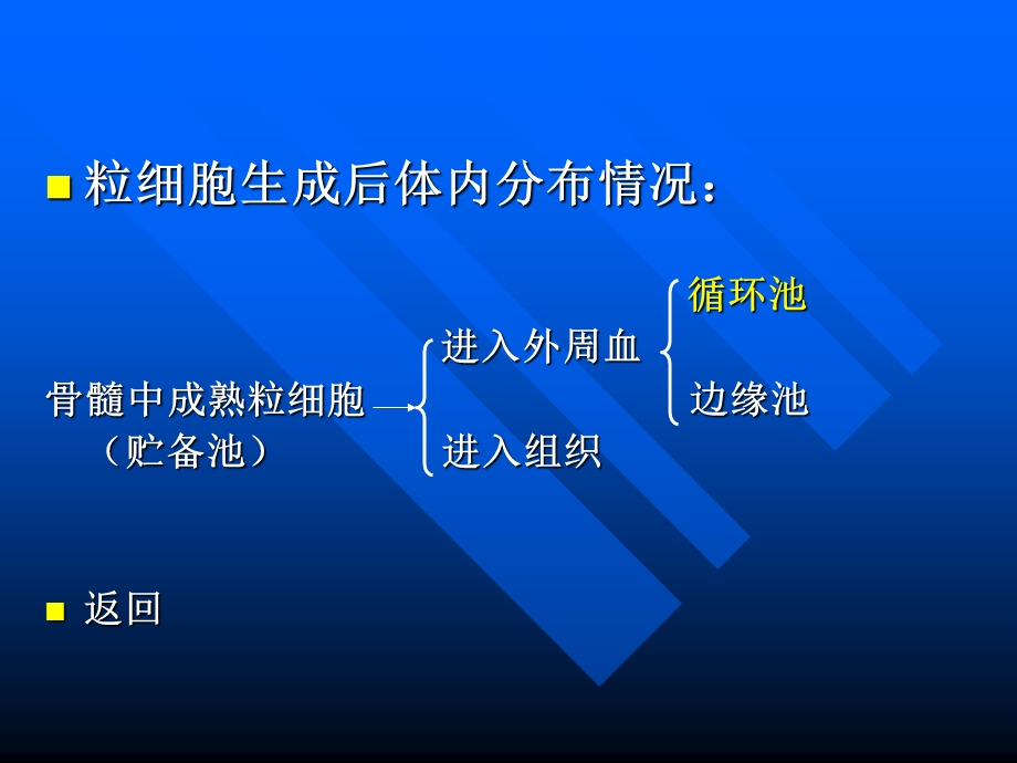 粒细胞减少症文档资料.ppt_第3页