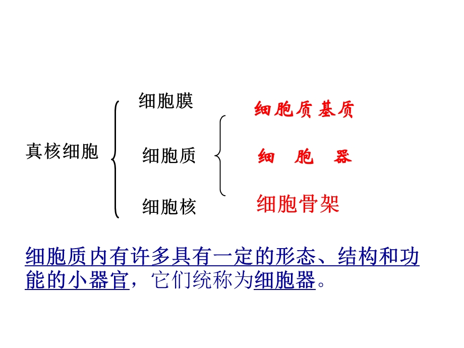 细胞器——课时1文档资料.ppt_第2页