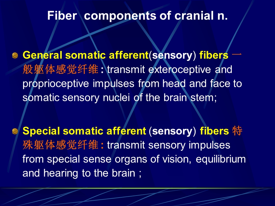 [临床医学]脑神经.ppt_第3页