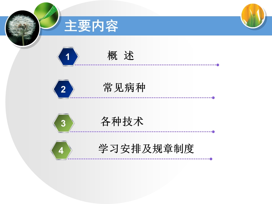 最新：妇产科入科教育课件文档资料.ppt_第1页