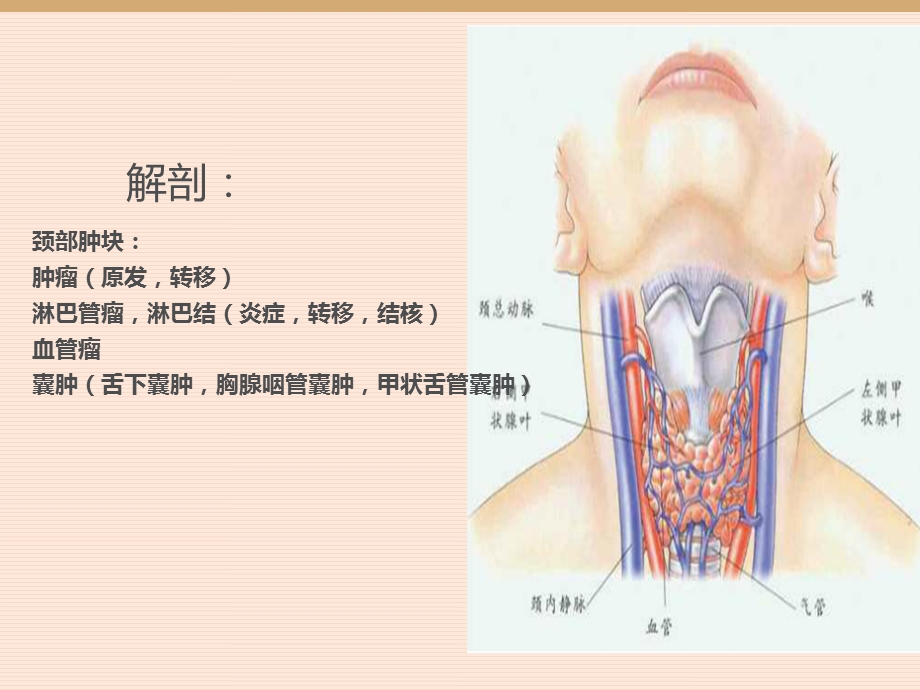 最新：颈部疾病教学PPT文档资料.ppt_第1页