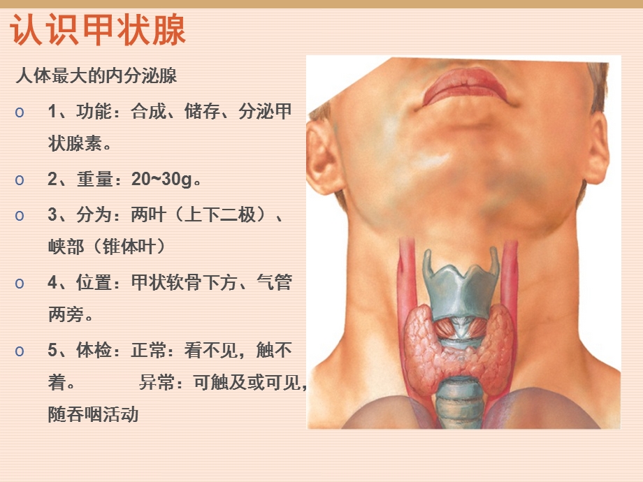 最新：颈部疾病教学PPT文档资料.ppt_第2页