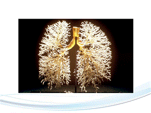 慢性阻塞性肺疾病诊断和治疗PPT文档.ppt