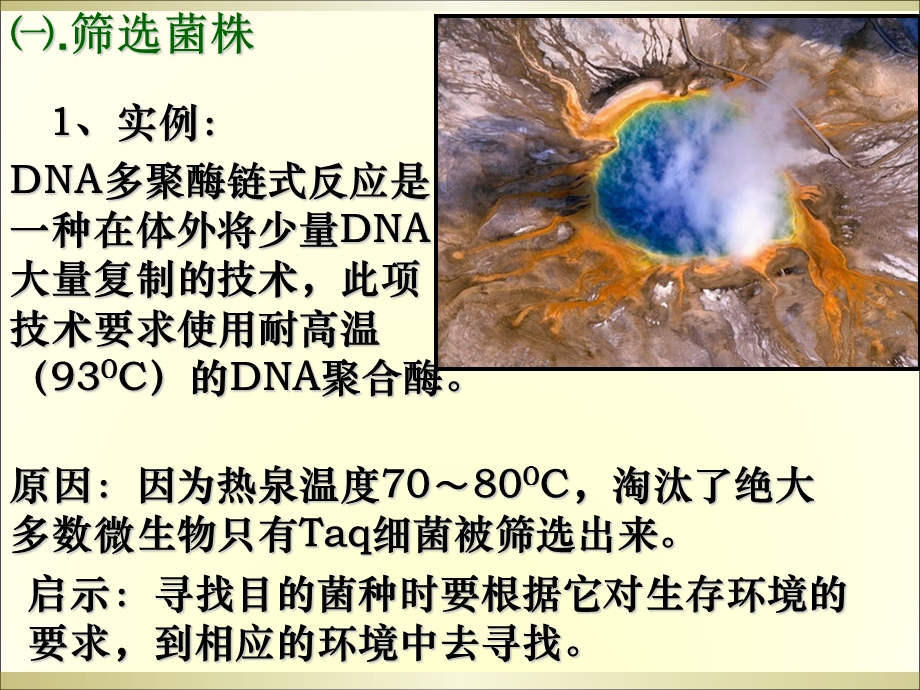 最新土壤中分解尿素的细菌的分离和计数课件PPT文档.ppt_第3页