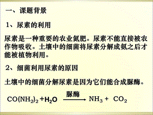 最新土壤中分解尿素的细菌的分离和计数课件PPT文档.ppt