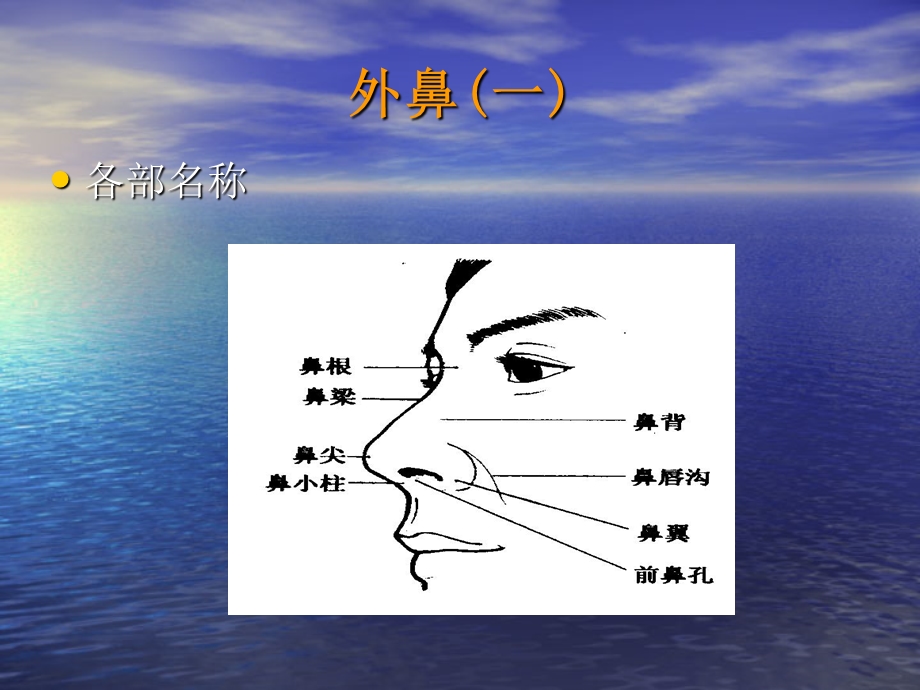 最新耳鼻咽喉的应用解剖与生理何ppt课件PPT文档.ppt_第2页