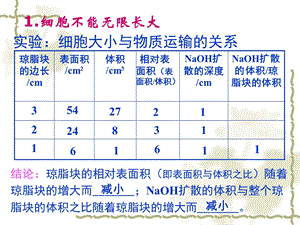 人教版教学课件必修1分子与细胞第6章课件细胞增殖文档资料.ppt