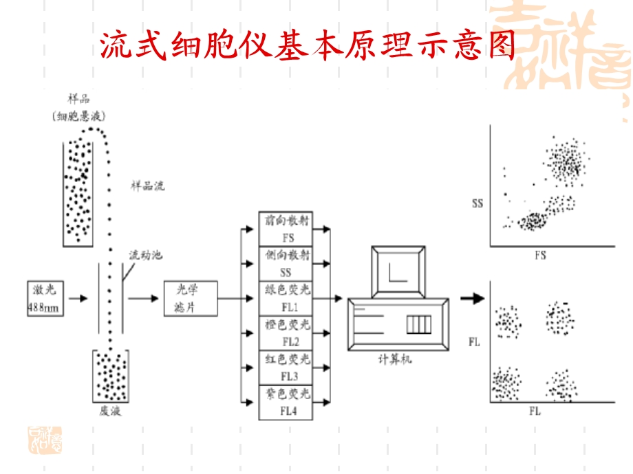 最新：流式细胞的原理及临床应用文档资料.ppt_第3页