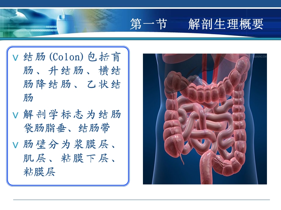 第37章结直肠肛管疾病文档资料.ppt_第1页