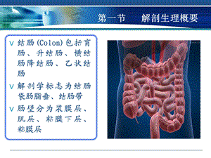 第37章结直肠肛管疾病文档资料.ppt