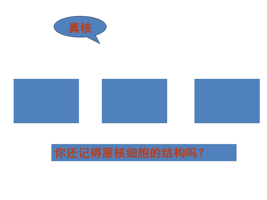 最新人教版教学课件生物精华课件：细胞器——系统内的分工合作PPT文档.ppt_第1页