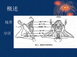 局部解剖学颈筋膜及间隙、淋巴结文档资料.ppt