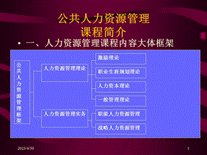 [人力资源管理]公共人力资源管理.ppt