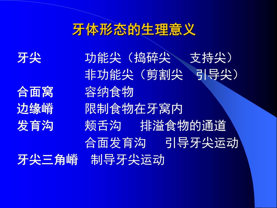 中国医科大学口腔解剖生理学课件05PPT文档资料.ppt_第2页