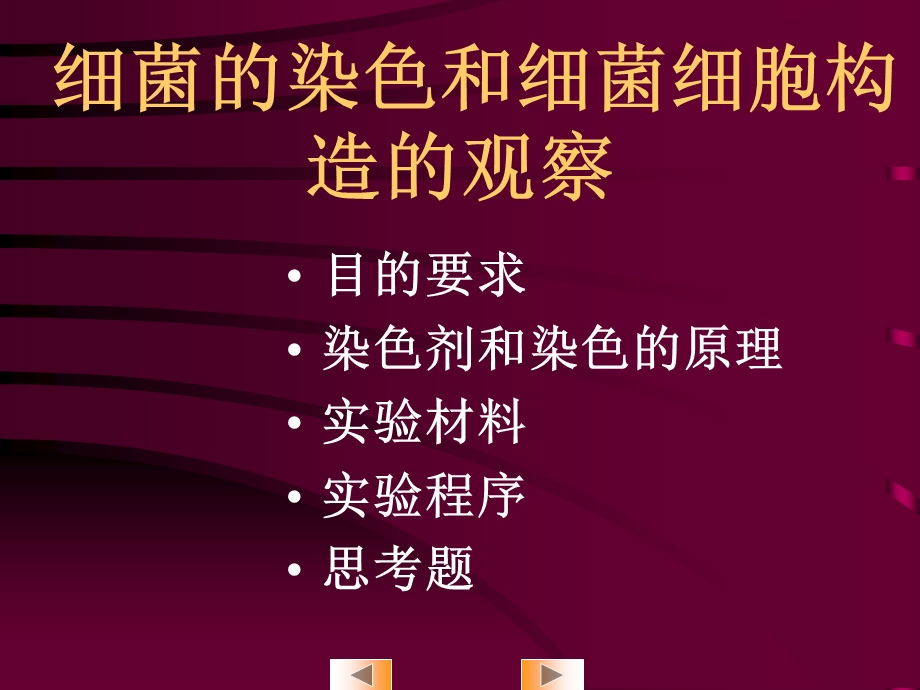 实验二细菌的染色和细菌细胞构造的观察PPT文档.ppt_第1页