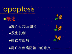 最新第7章细胞凋亡与疾病PPT文档.ppt