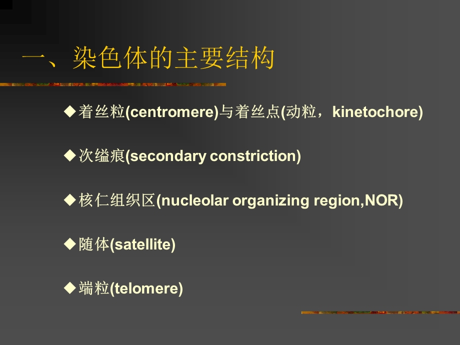 最新：分子细胞生物学赵艳第六章2基因与染色体2005文档资料.ppt_第2页