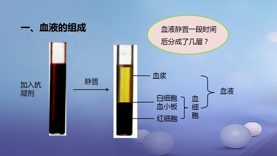 最新：七年级生物下册4.4.1流动的组织血液课件新版新人教版文档资料.ppt_第2页