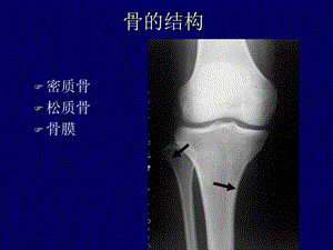 最新骨骼实课件PPT文档.ppt